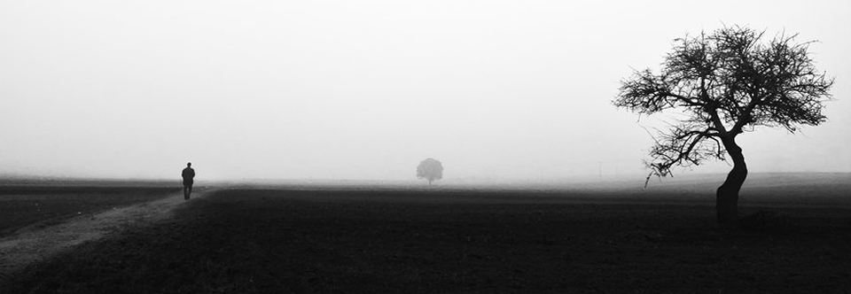 Story photo
